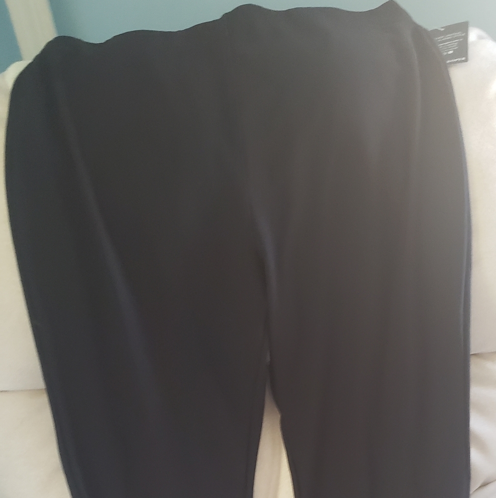 Beyond Travel pants
